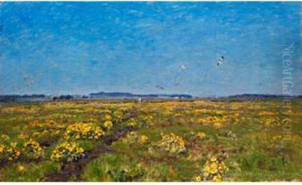 Weite Moorlandschaft Mit Gelbendotterblumen Und Auffliegenden Vogeln Oil Painting by Viggo Christien Frederik Vilhelm Pedersen