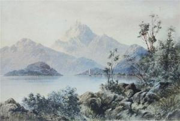 Lake Manapouri Oil Painting by Tom Peerless