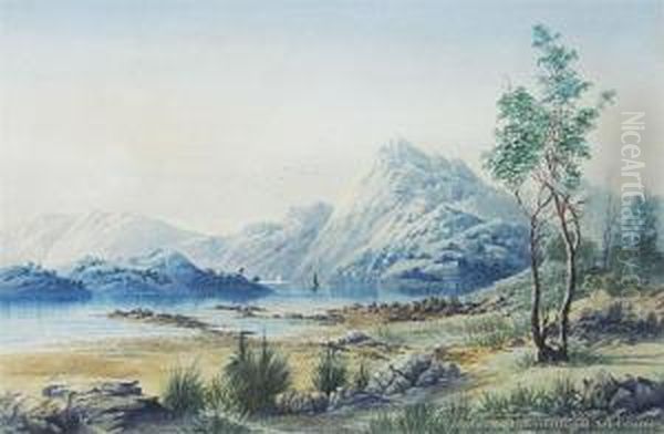 Fiordland Oil Painting by Tom Peerless