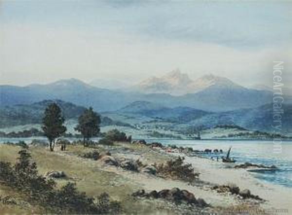 Pigeon Bay, Banks Peninsula Oil Painting by Tom Peerless