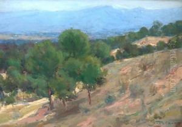 Paisaje Oil Painting by Juan Pelaez Leirena