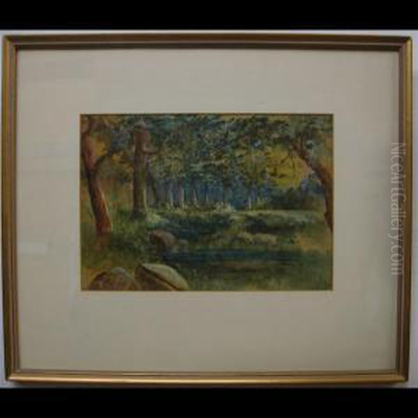 Woodland Pool Oil Painting by A.J. Pell