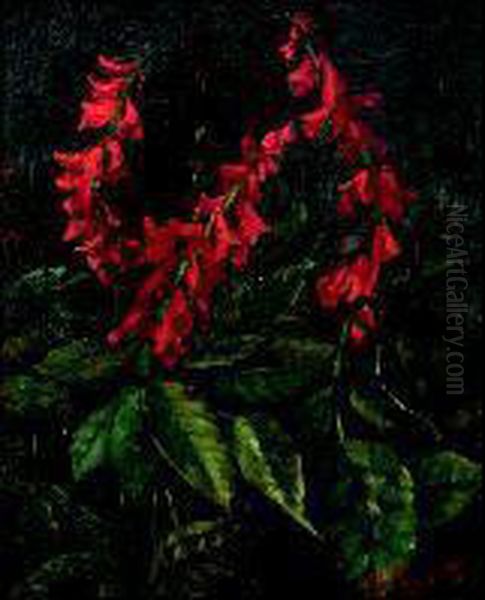 Campanule In fiore Oil Painting by Romeo Pellegatta