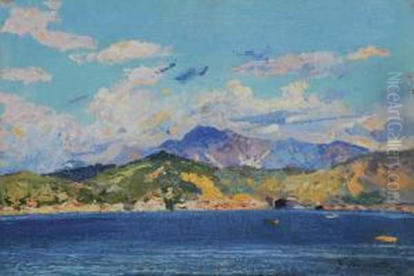 Golfo Della Spezia Con Vista Delle Alpi Apuane Oil Painting by Giuseppe Pennasilico