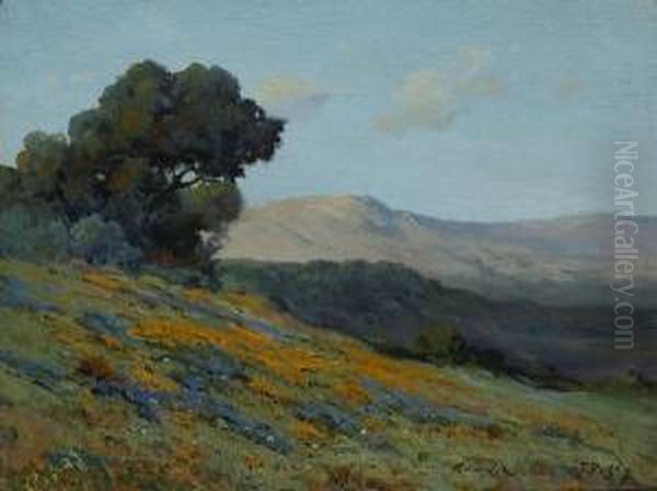 California Poppies And Lupine On A Hillside Oil Painting by John Calvin Perry