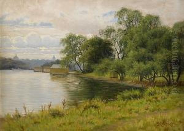 Utsikt Fran Djurgarden Mot Stockholm Oil Painting by Peter Adolf Persson