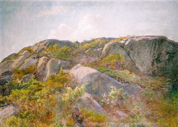 Fjellandskap Oil Painting by Wilhelm Peters