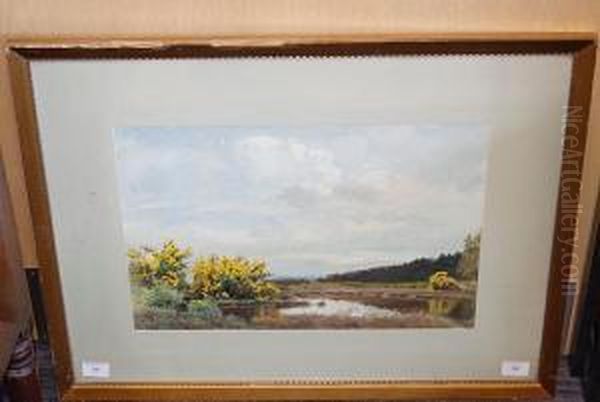 In Time Of Gorse, The Moors, Brockenhurst, New Forest Oil Painting by Albert George Petherbridge