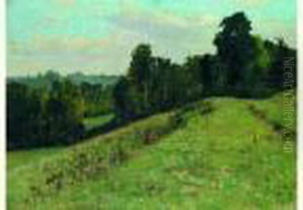 Paysage Oil Painting by Jules Petillion