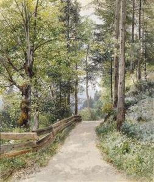 Waldweg Beigoisern Oil Painting by Ladislaus Eugen Petrovits