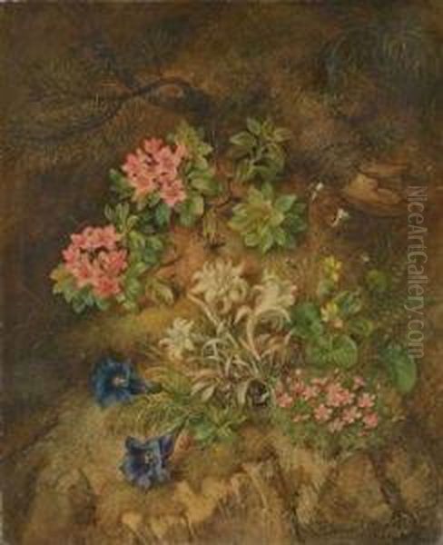 Edelweiss Et Autres Fleurs Dans Un Sous-bois Oil Painting by Theodor Petter