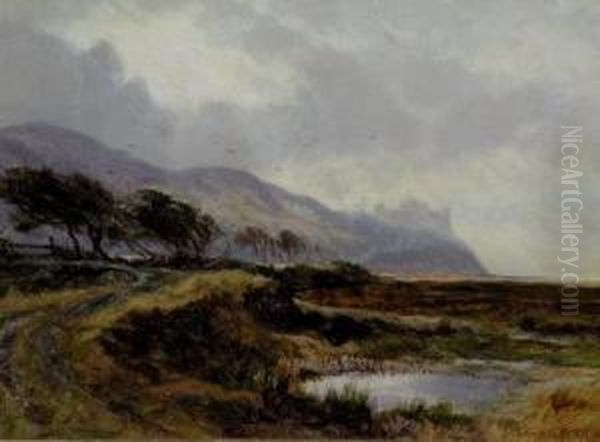 A View Of Harlech Castle Oil Painting by Edwin Alfred Pettitt