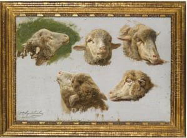 Studies Of Sheep Heads Oil Painting by Juliette Peyrol Bonheur