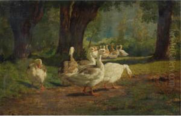 Geese In A Wooded Glade Oil Painting by Juliette Peyrol Bonheur