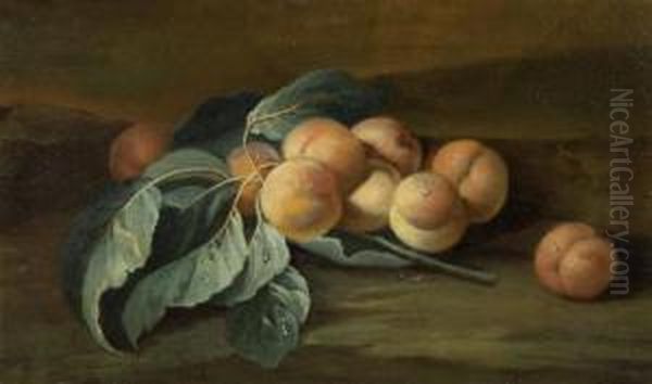 Still Life With Apricots Oil Painting by Maximillian Pfeiler