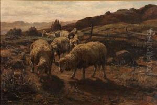 Sheep Grazing Oil Painting by William Preston Phelps