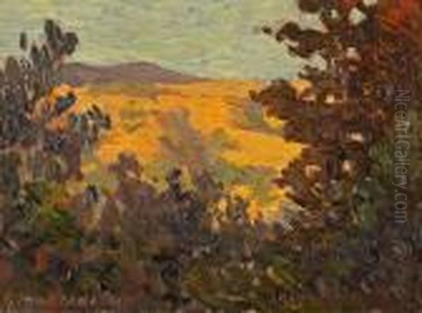 View Of Marin County From Tiburon Oil Painting by Gottardo Piazzoni