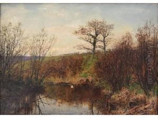 The Home Of The Moorhen Oil Painting by Joseph Langsdale Pickering