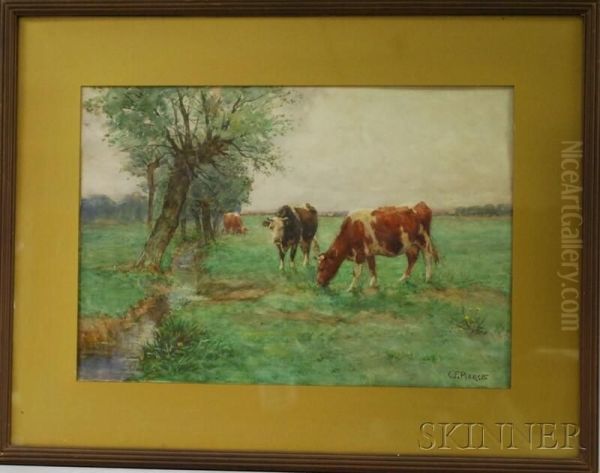 Cows Grazing By A Stream Oil Painting by Charles Franklin Pierce