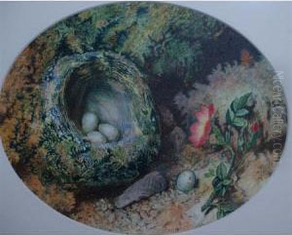 Still Life With Bird's Nest Oil Painting by Charles Franklin Pierce