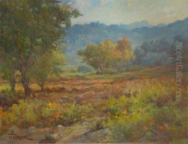 Paisaje Oil Painting by Manuel Pigem Ras