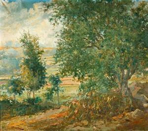 Paisaje Oil Painting by Manuel Pigem Ras