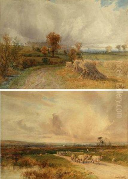 Harvest Field; And Sheep In A Country Lane Oil Painting by Charles Pigott