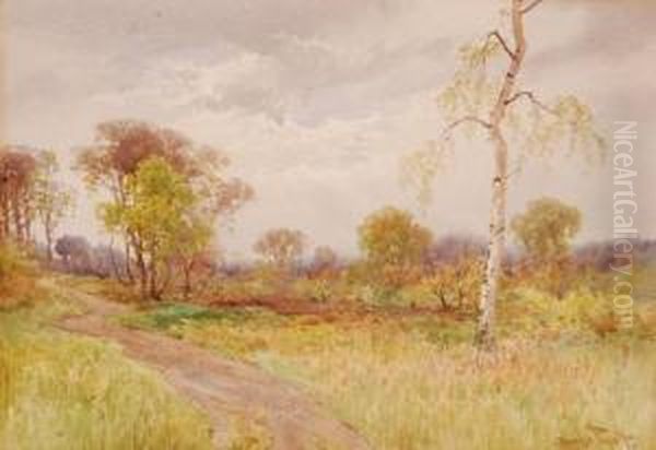 Rural Landscape Oil Painting by Charles Pigott