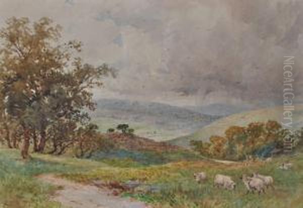 Sheep In Yorkshirelandscape by Charles Pigott