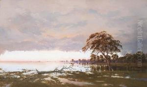 The Flood On The Darling River, New South Wales Oil Painting by William Charles Piguenit