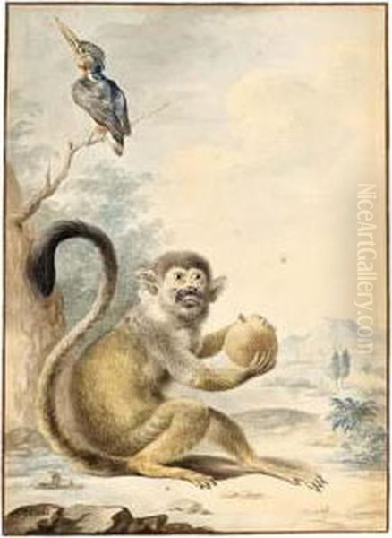 A Squirrel Monkey Holding A Fruit And A Malachite Kingfisher Perched On A Branch Oil Painting by A. Pijl