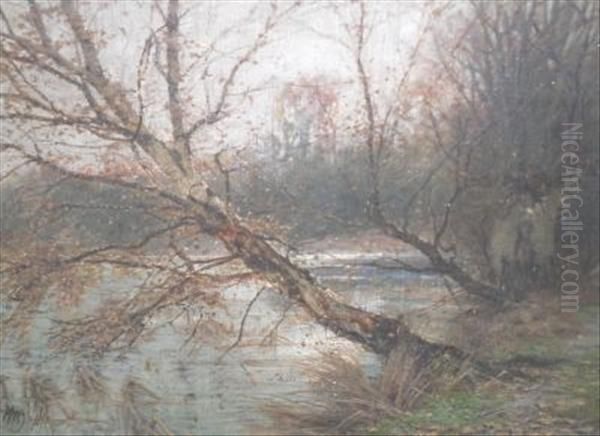 Silver Birch In A River Landscape Oil Painting by Sidney Pike