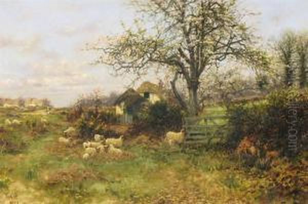 Rural Landscape With Sheep And Trees In Blossom Oil Painting by Sidney Pike