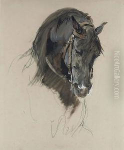 The Head Of A Black Horse Oil Painting by Isidore Alexandre Augustin Pils