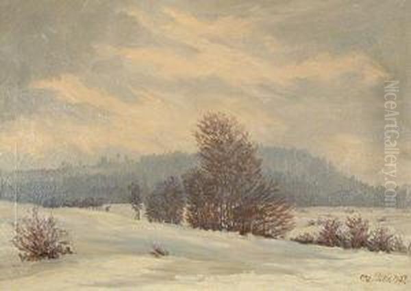 Paisaje Nevado. Oil Painting by Otto Pilz