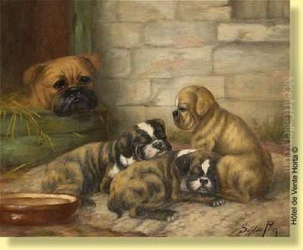 Chiots Sous Surveillance Oil Painting by Sophie Pir