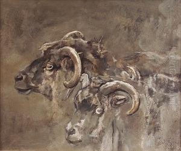 Two Sheeps' Heads Oil Painting by George Pirie