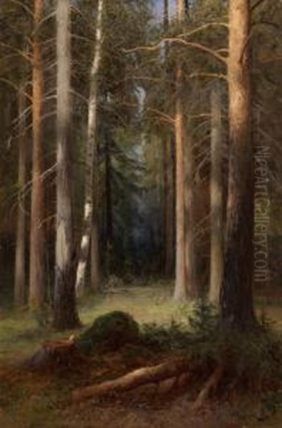 In A Pine Grove Oil Painting by Aleksey Alexandrov. Pisemsky