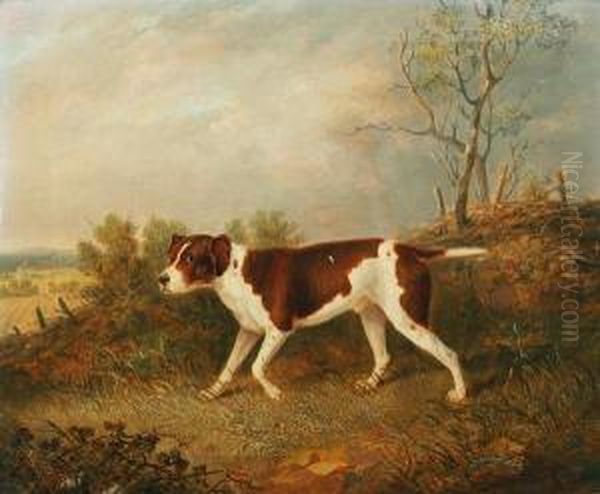 Major John William's Favourite Pointer Oil Painting by John Pitman