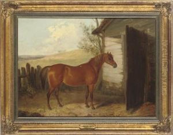 A Chestnut Hunter Beside A Barn Oil Painting by John Pitman