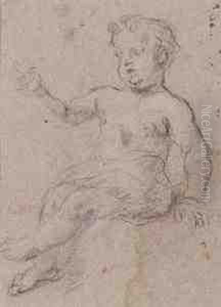 Studio Di Un Putto Oil Painting by Giovanni Battista Pittoni the younger