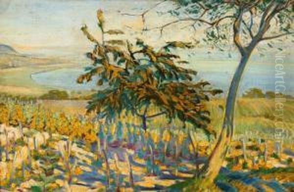 Kilatas A Balatonra Oil Painting by Ervin Plany