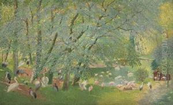 Flamingos Im Karlsruher Stadtgarten Oil Painting by Ludwig Wilhelm Plock