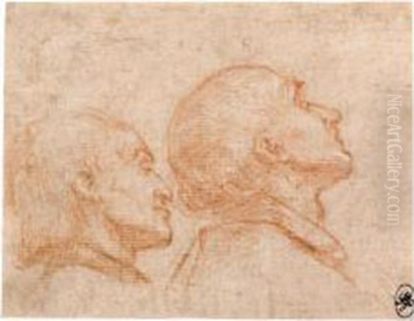 Study Of The Heads Of Two Men, In Profile To The Right Oil Painting by Bernardino Barbatelli Poccetti