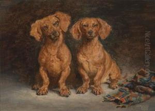 The Pairof Dachshunds Oil Painting by Alexander Pock