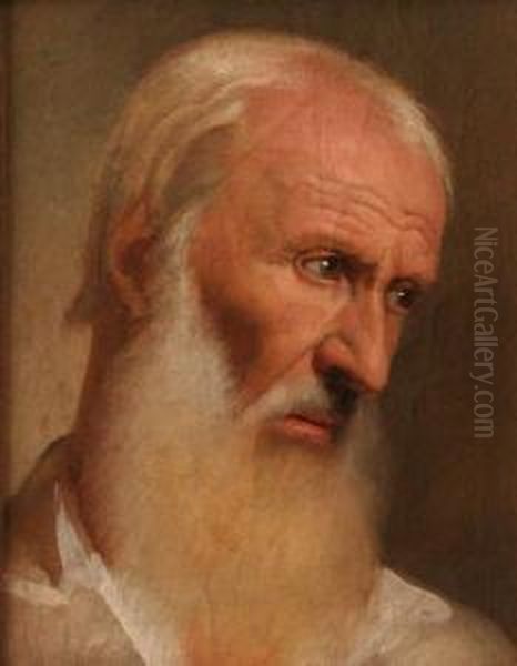 Ritratto Maschile Oil Painting by Francesco Podesti