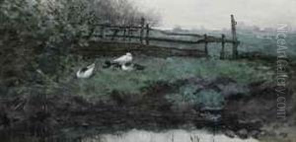 Ducks In The Grass Oil Painting by Geo Poggenbeek