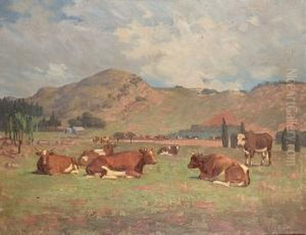 Cattle Resting On The Veldt Oil Painting by Jack Pohl