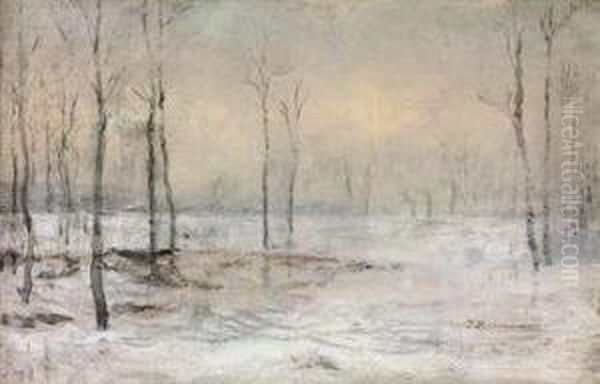 Clairiere Sous La Neige, Minsk, Oil Painting by Ivan Pavlovich Pokhitonov