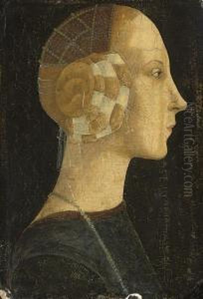 Portrait Of A Lady, Bust-length, In Profile Oil Painting by Piero Pollaiuolo